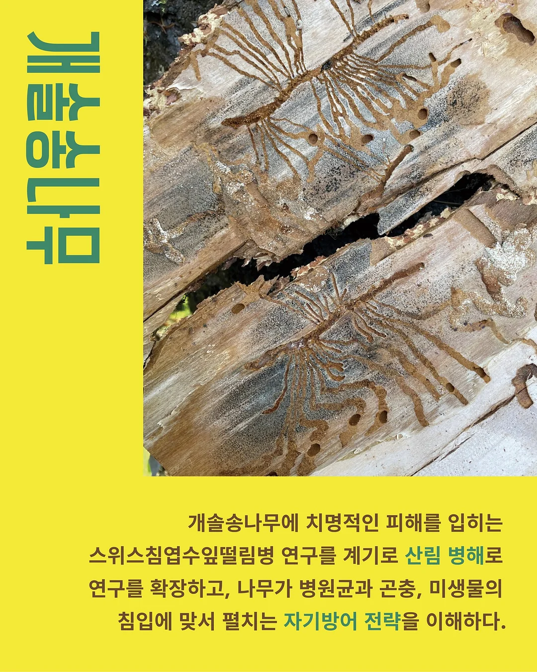 신발 방수 커버 6