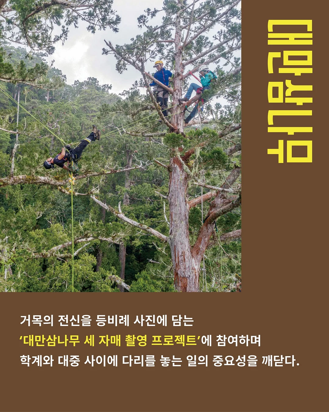 신발 방수 커버 9