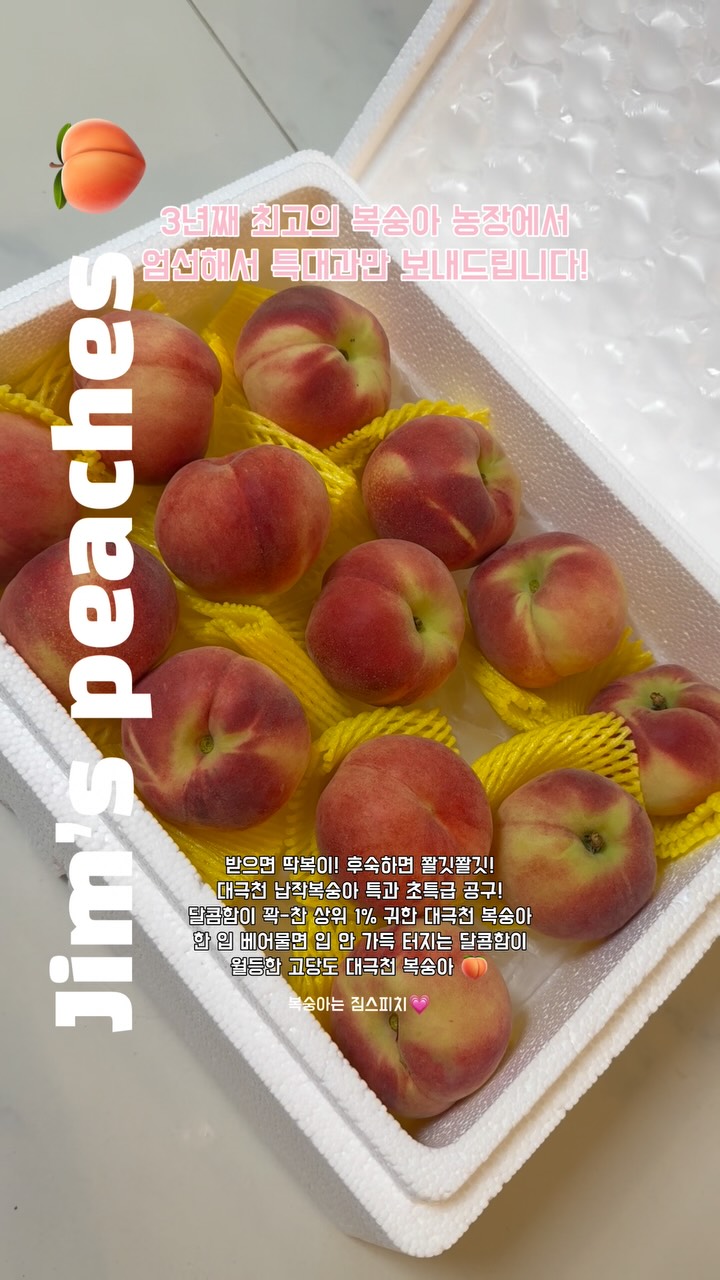 썸머 도트 셀럽 상하세트