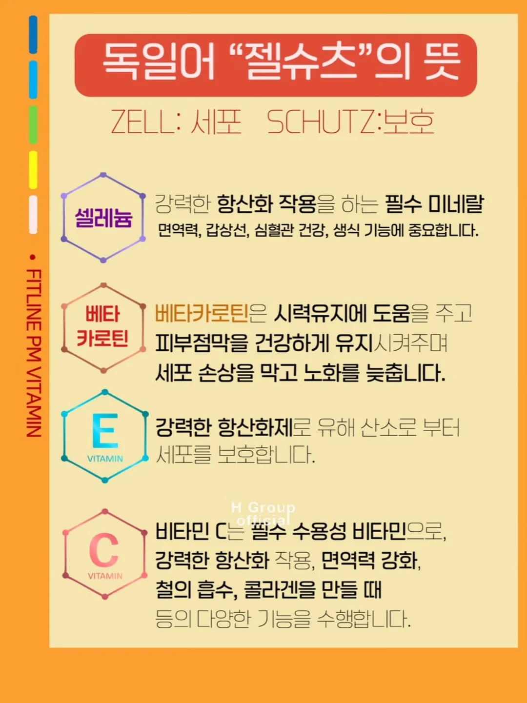 꽃, 식물, 꽃다발, 꽃바구니, 플라워클래스 4