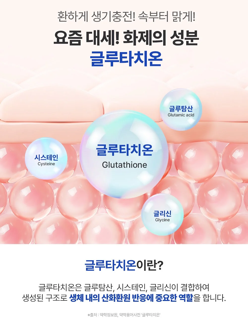 로즈네트백 12