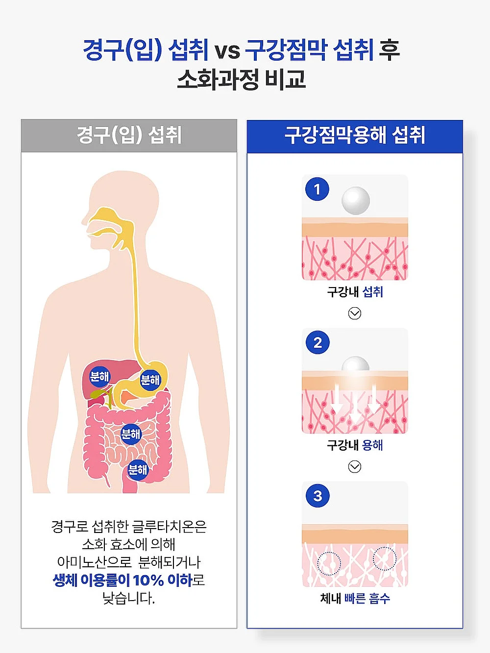 로즈네트백 15