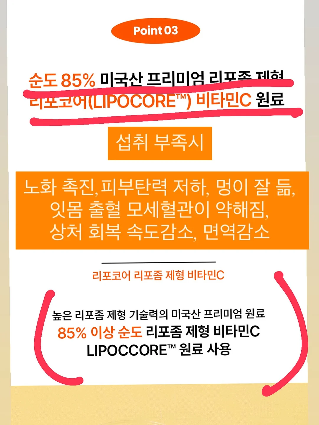 로즈네트백 5