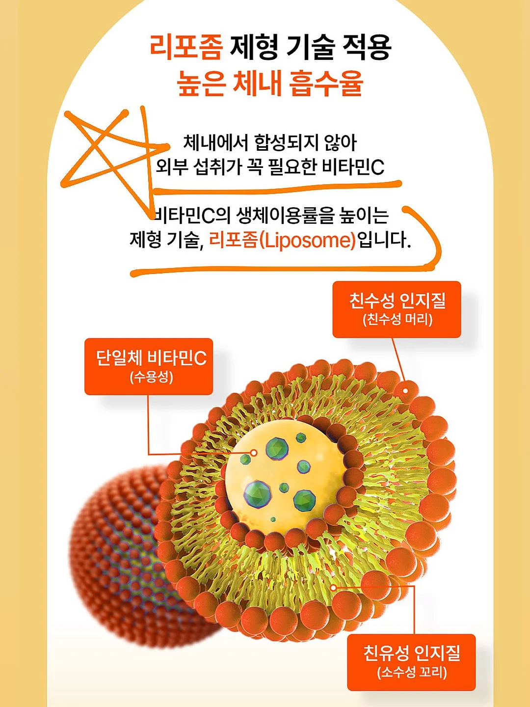 로즈네트백 7