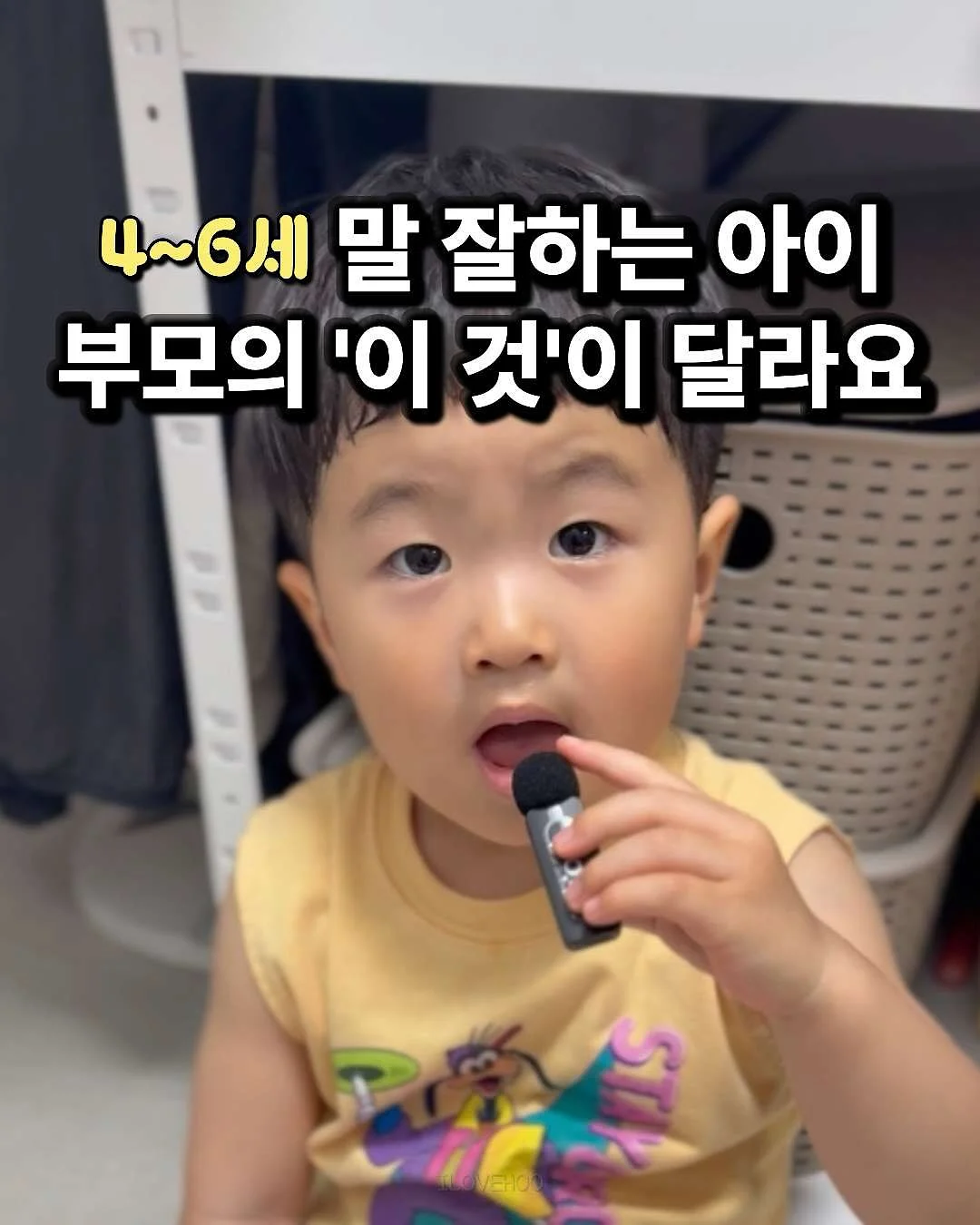 하이독 케어브이라이트 1