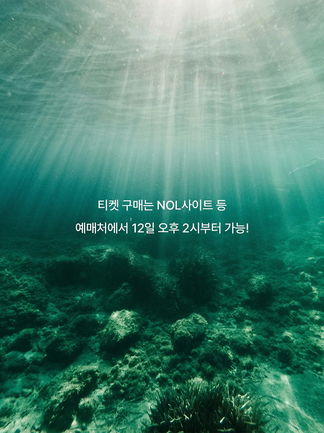 조인트픽 관절영양제 4