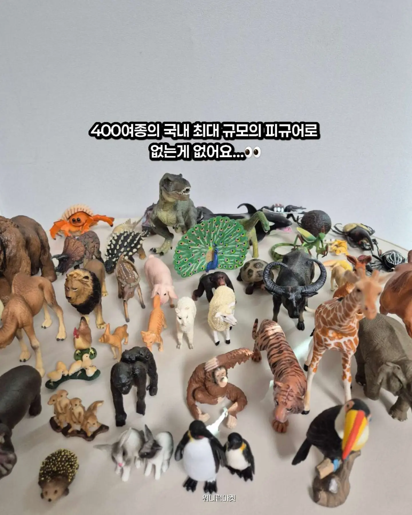 물광팩 11