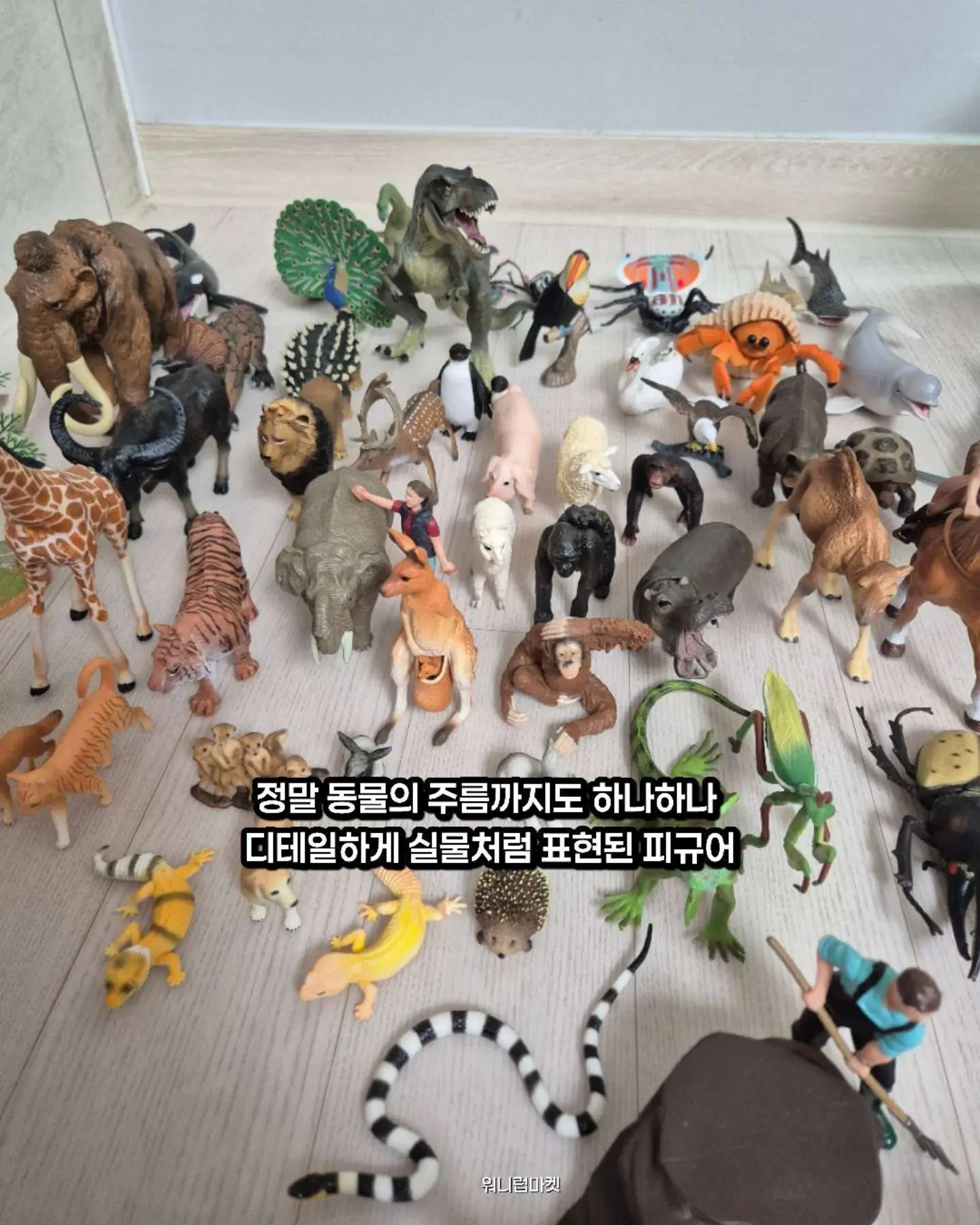 물광팩 10