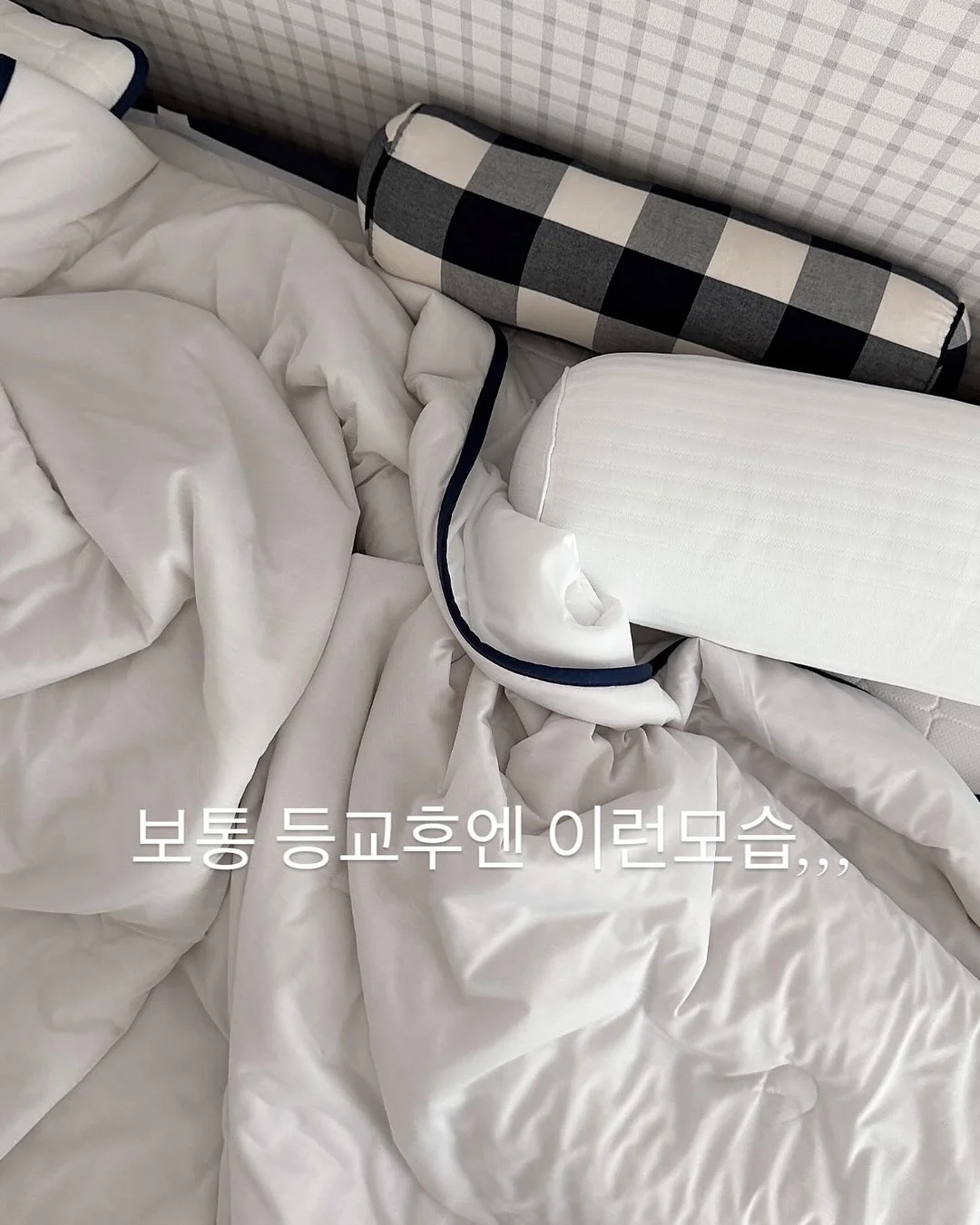 데이메이드 성장동영상 7
