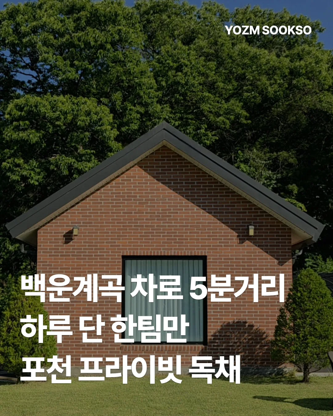 식억젤리 1