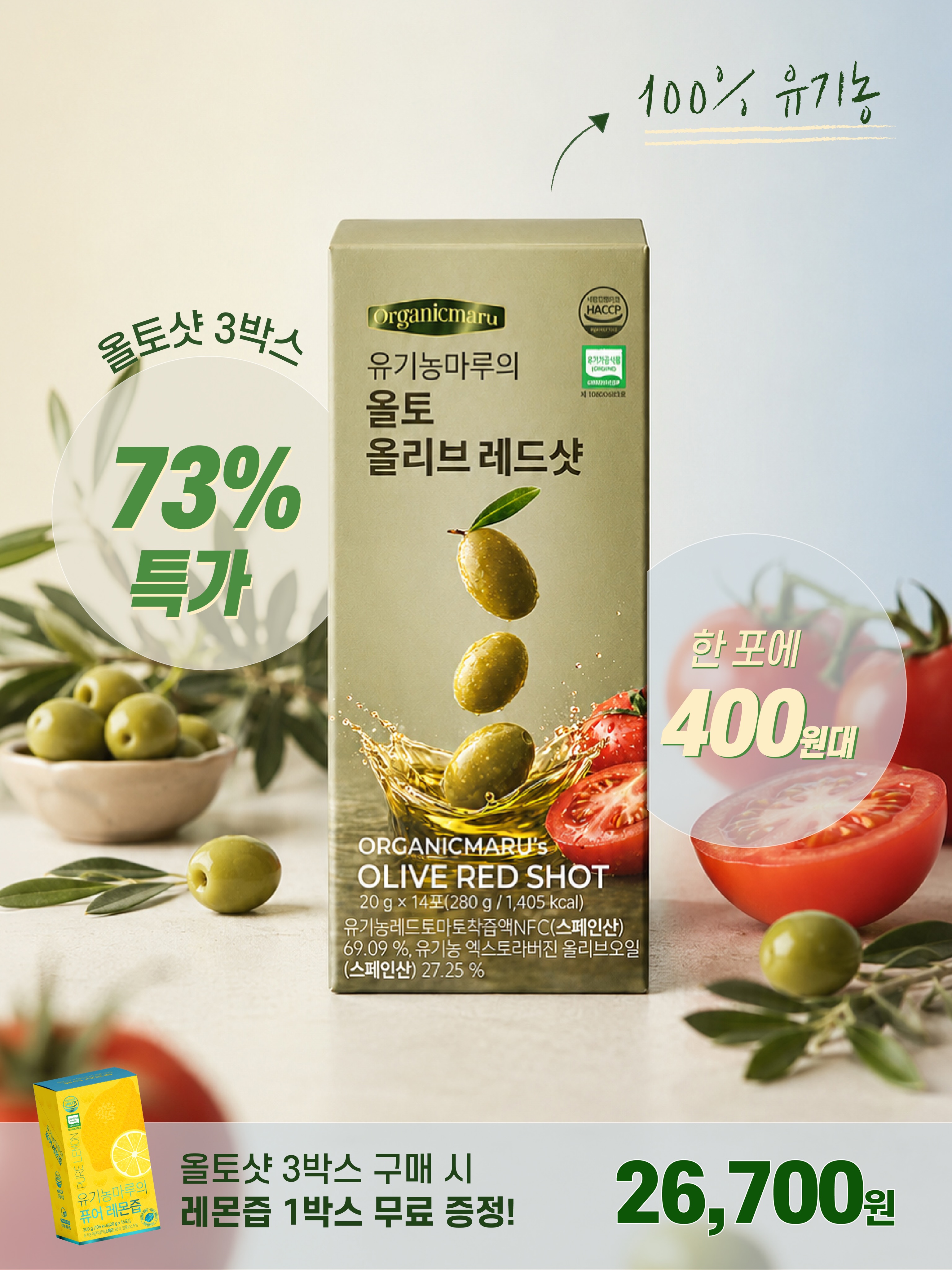 아이스볼 트레이