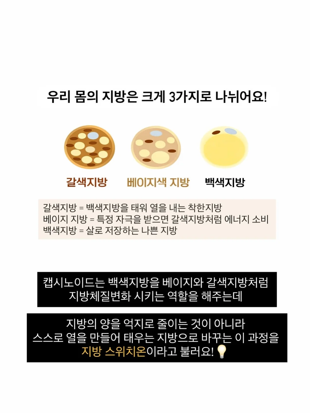 리디아 자연눈썹 11