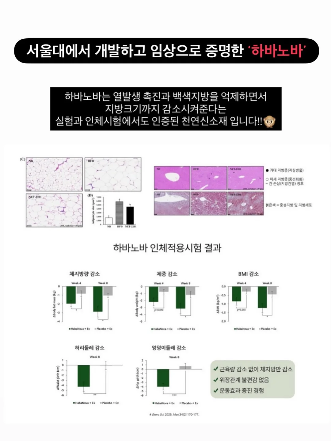 리디아 자연눈썹 12