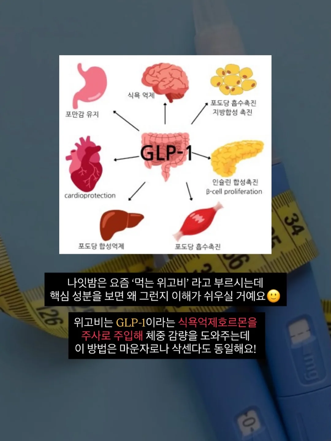 리디아 자연눈썹 3