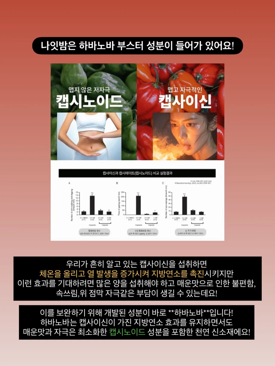 리디아 자연눈썹 10