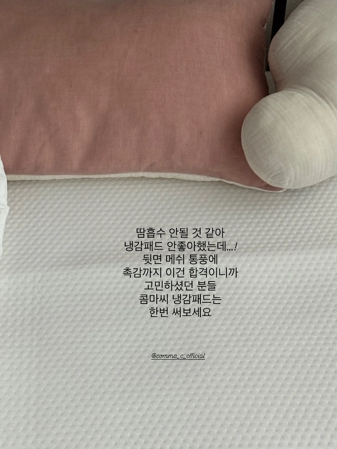 리브 탁상 달력 5