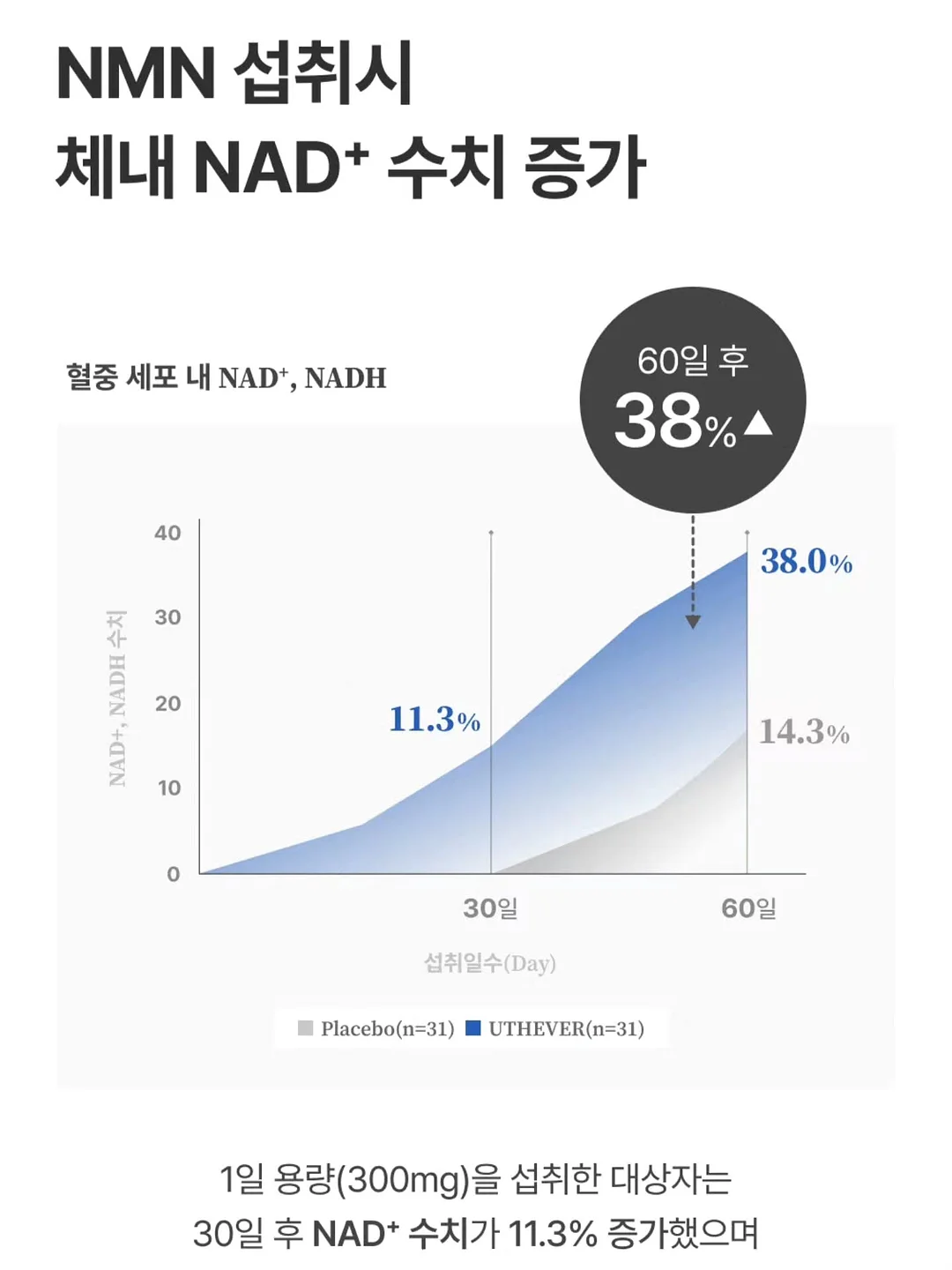 페루 에티오페스 게이샤 5