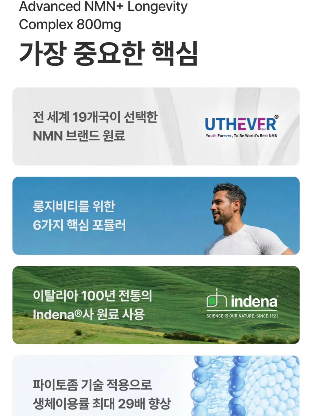 페루 에티오페스 게이샤 6