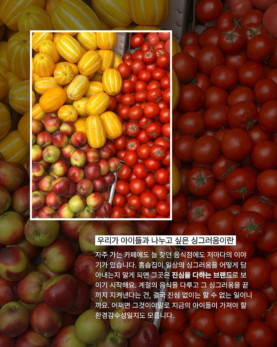 빈티지 의류 2