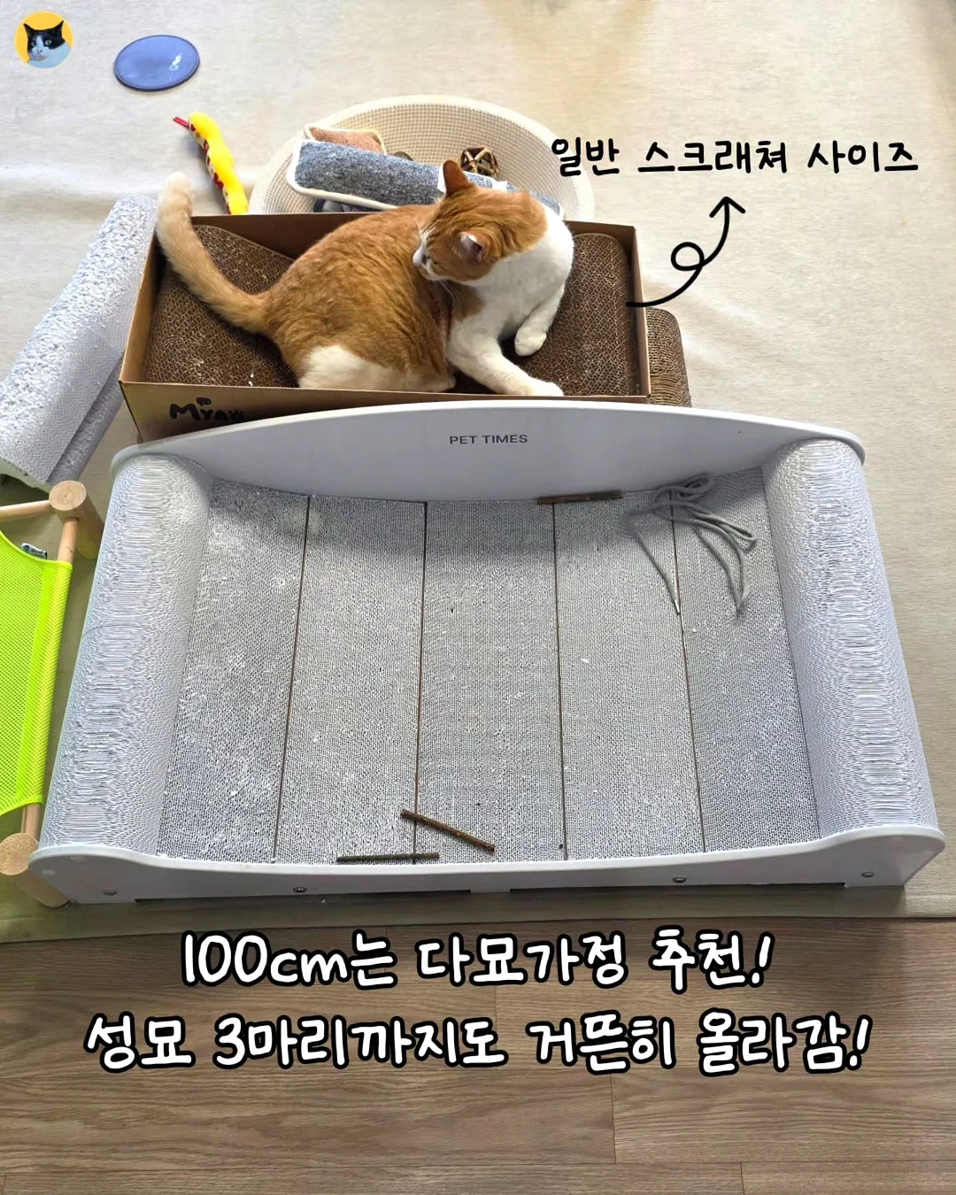 모듈형 도마 4