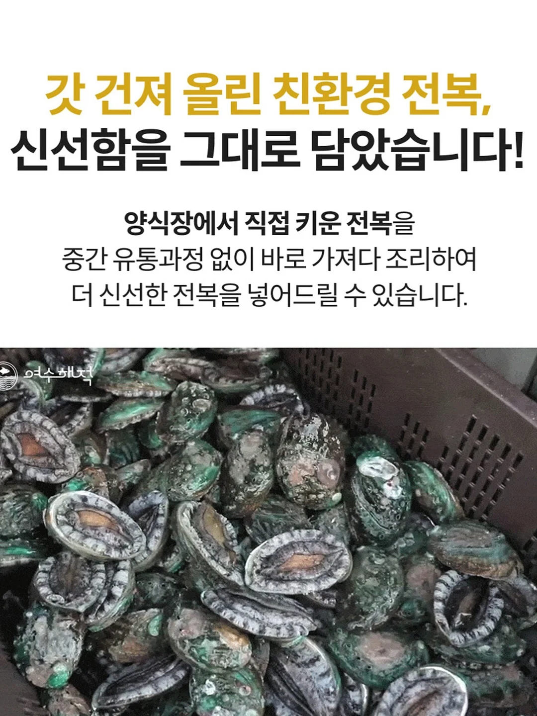 머즈 캐리어 20인치 10
