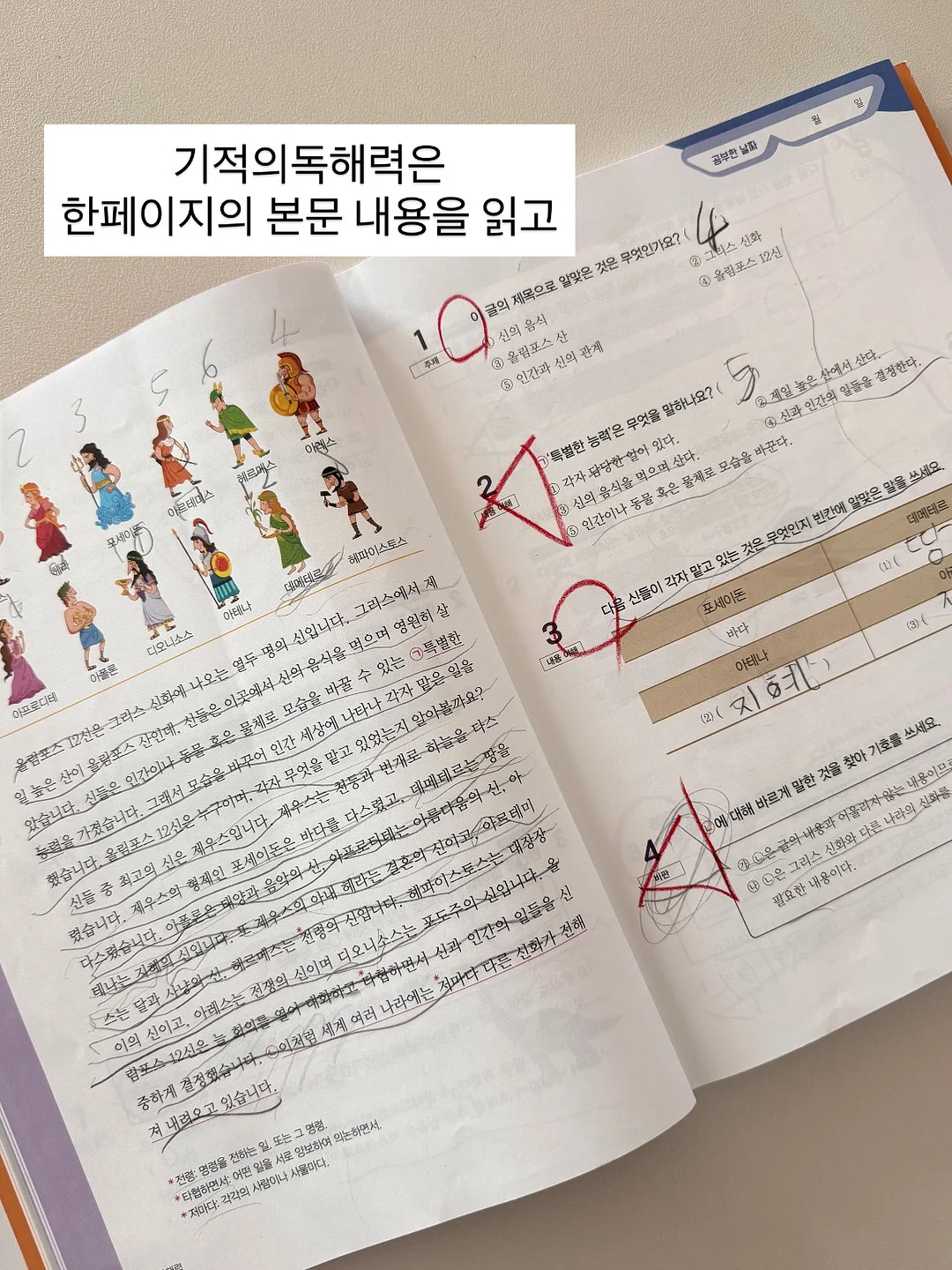 꽃블록 디폼조합 6