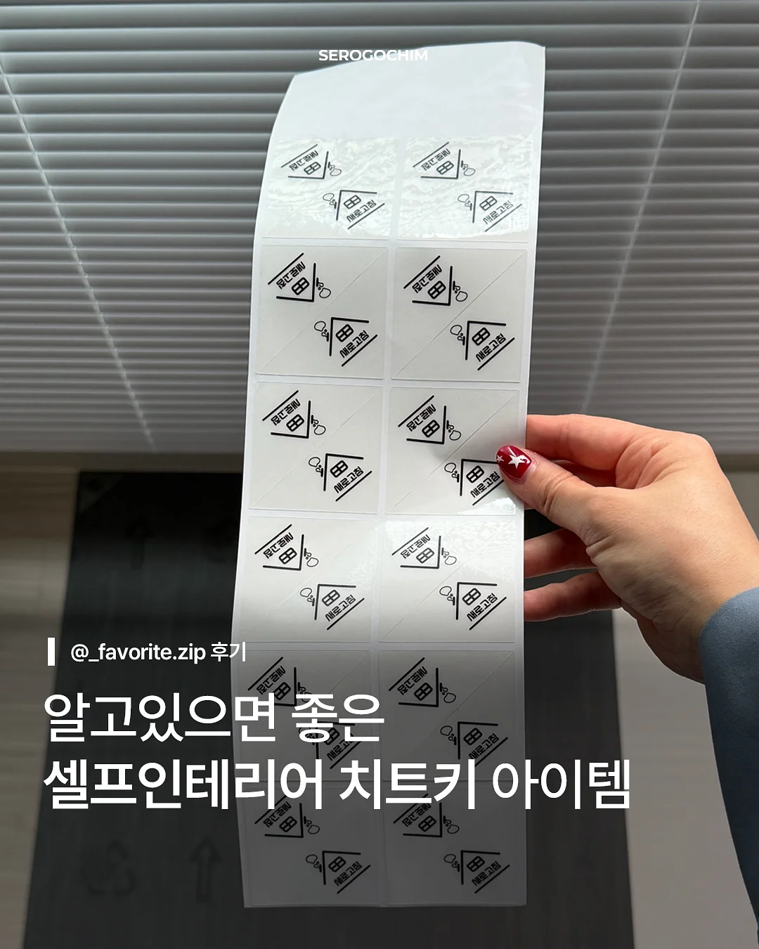 관리용 간식 12가지 1