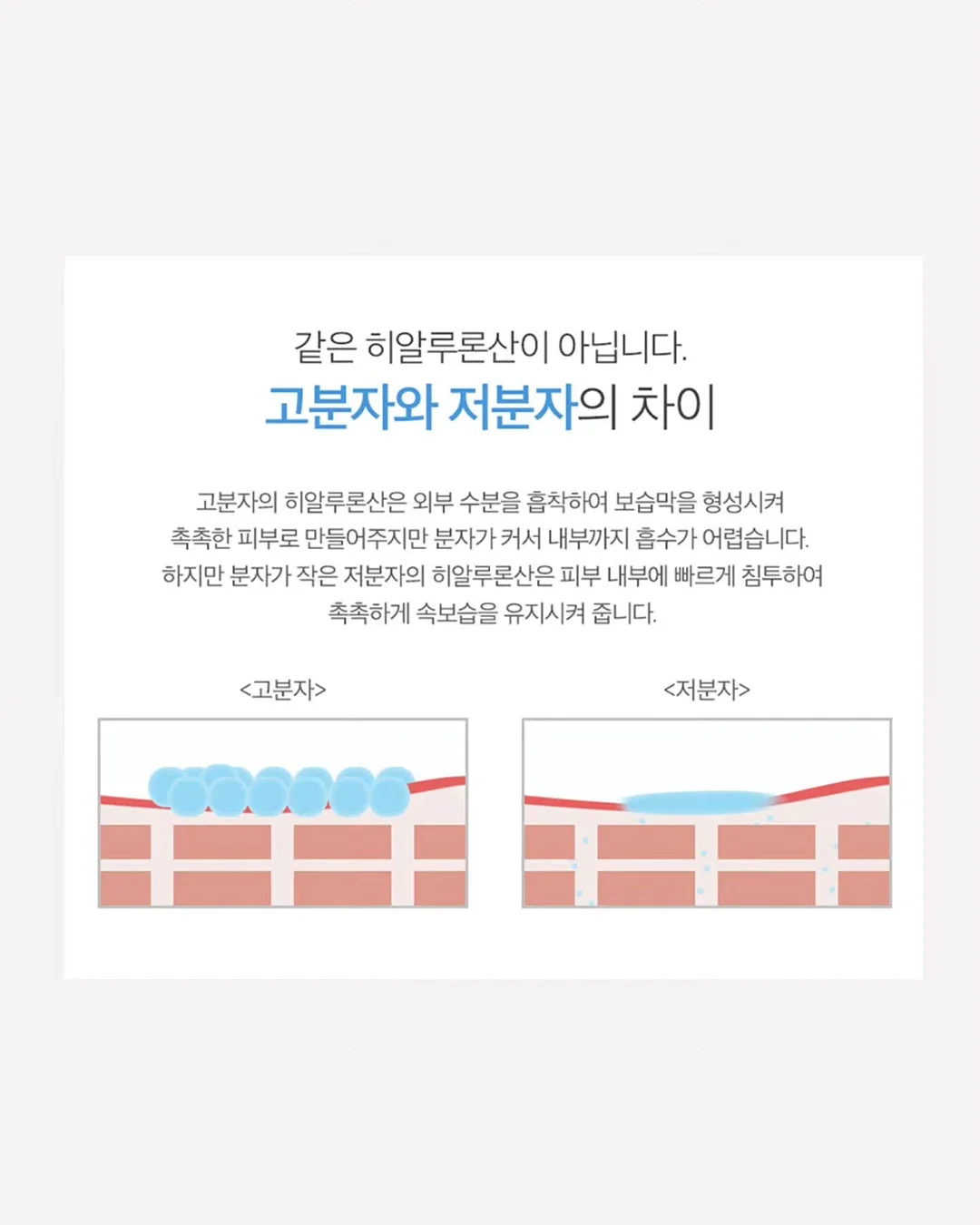 우베크림소금빵 5