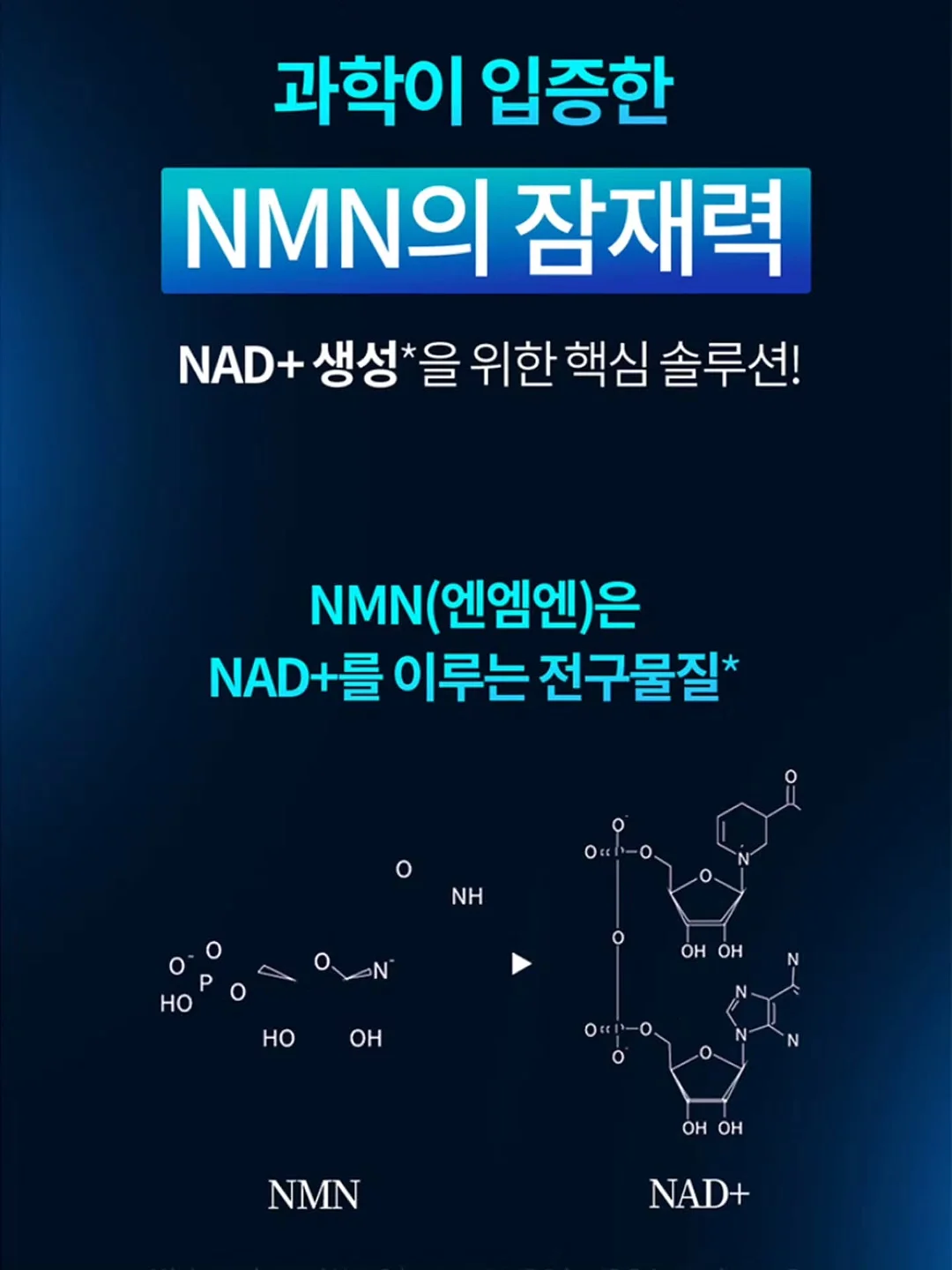 키티 블루투스 헤드셋 2