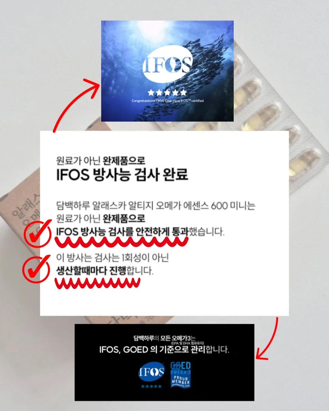 화이트 체크 셔츠 8