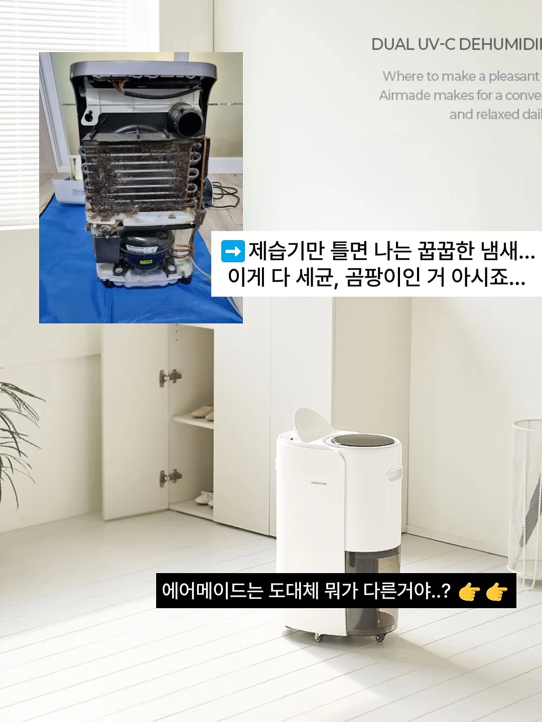 싱크대 찌든 기름때 제거 가루 13
