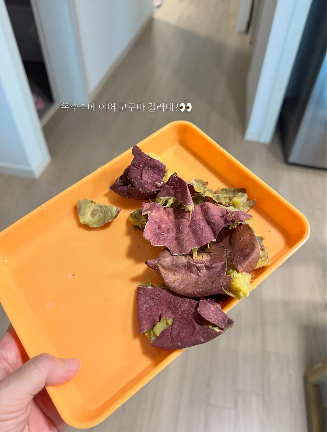 색동팝아트 티셔츠 3