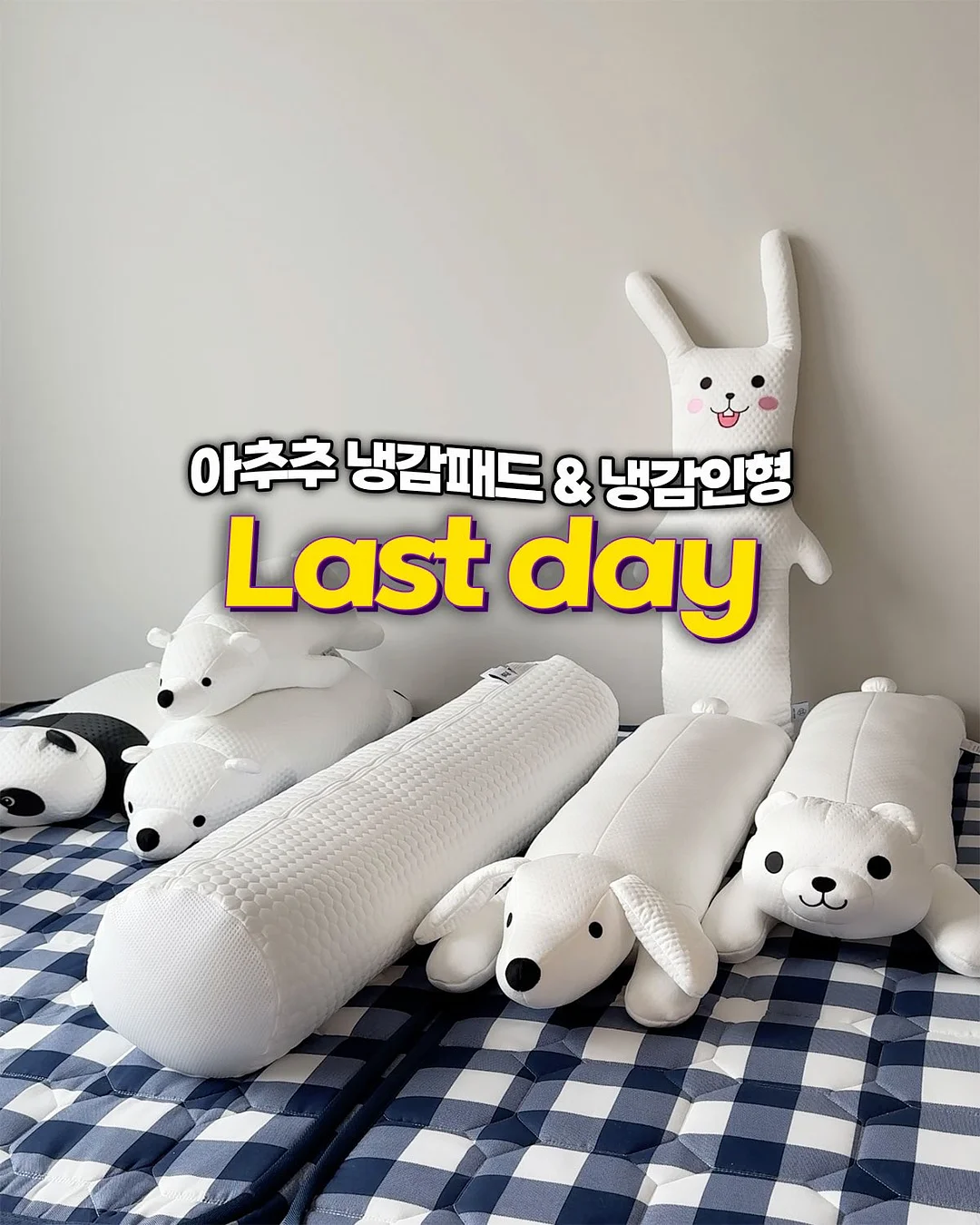 데일리 오트 쿠키 1