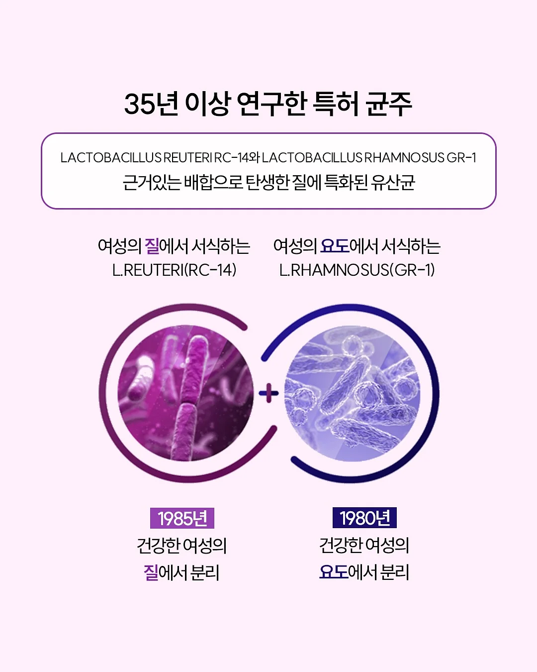 고려은단 키즈하이 키성장 젤리스틱 & 분말스틱 4