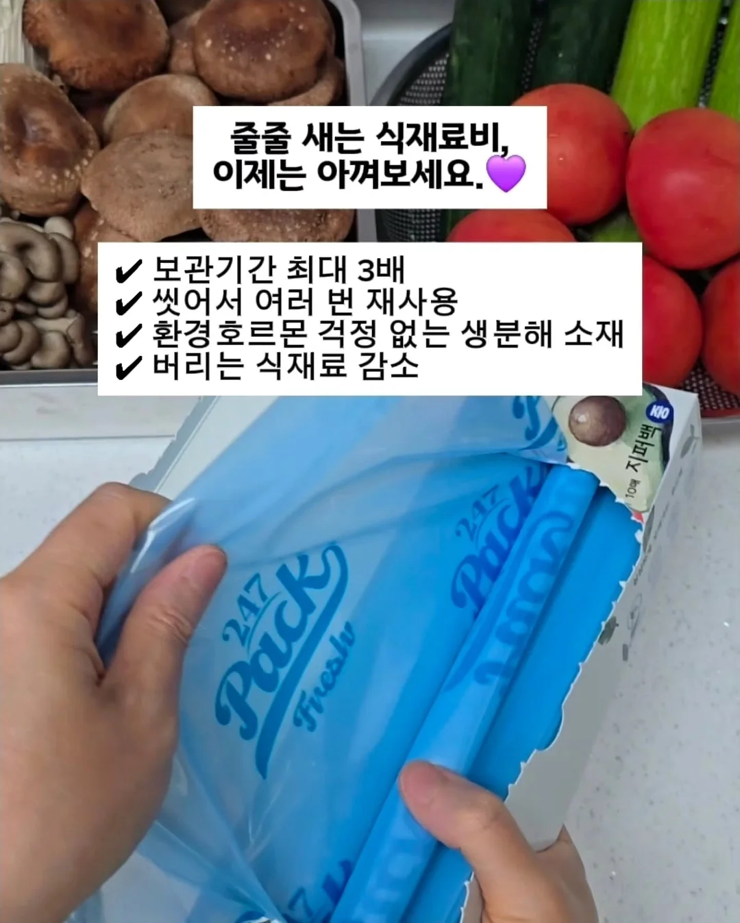 12평 세컨하우스 설계 12
