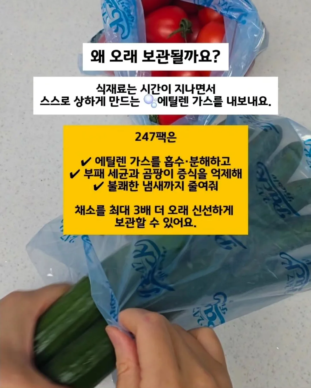 12평 세컨하우스 설계 3