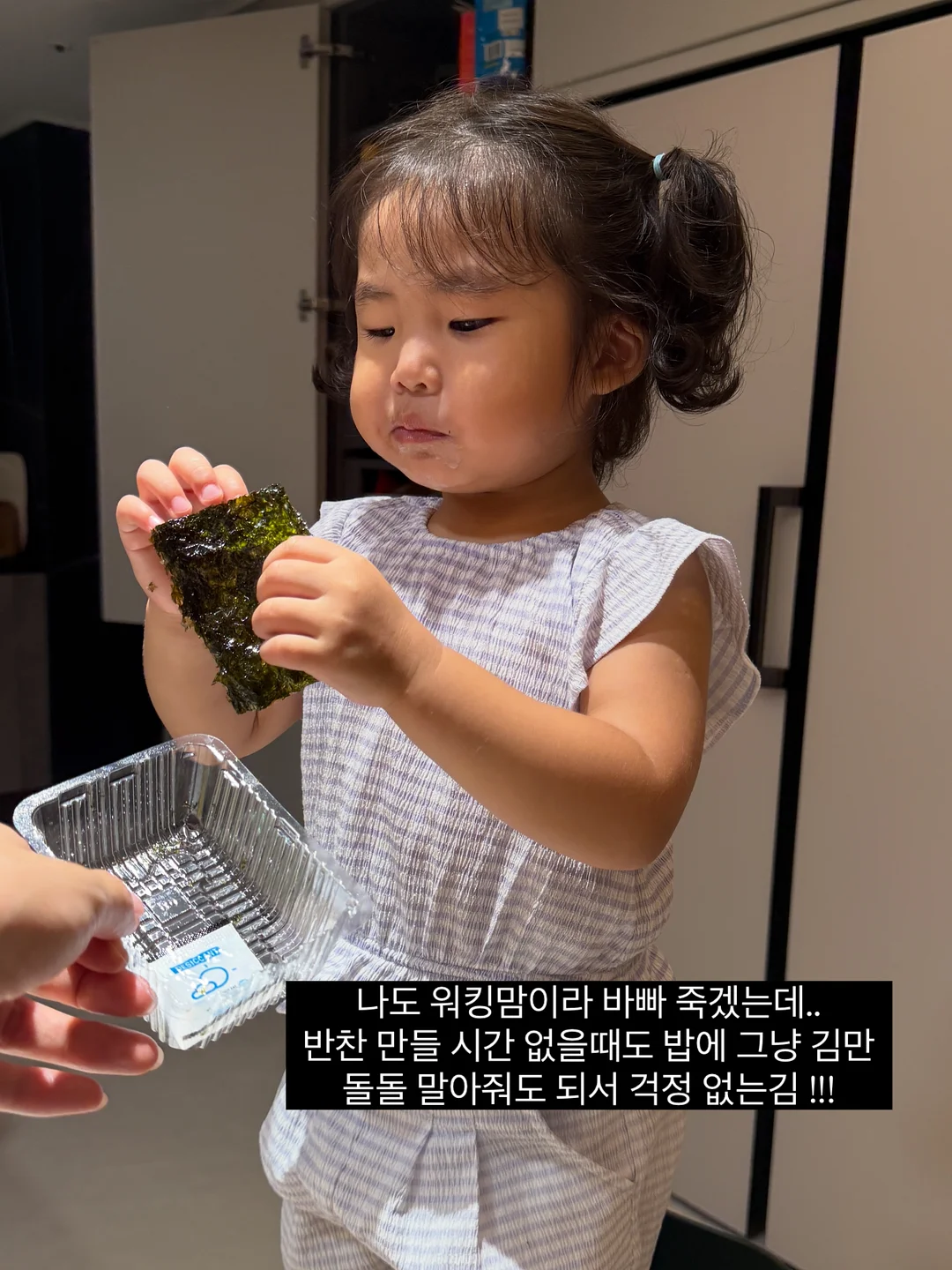 린제이 모델링팩 5