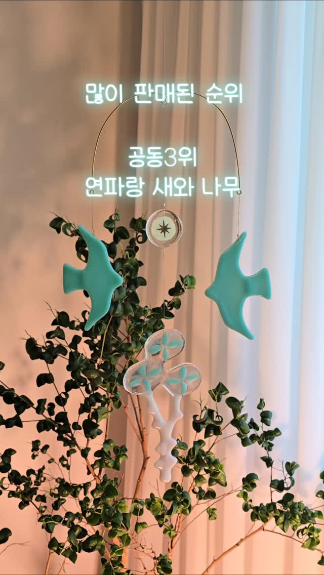 장족대사이즈 오징어다리