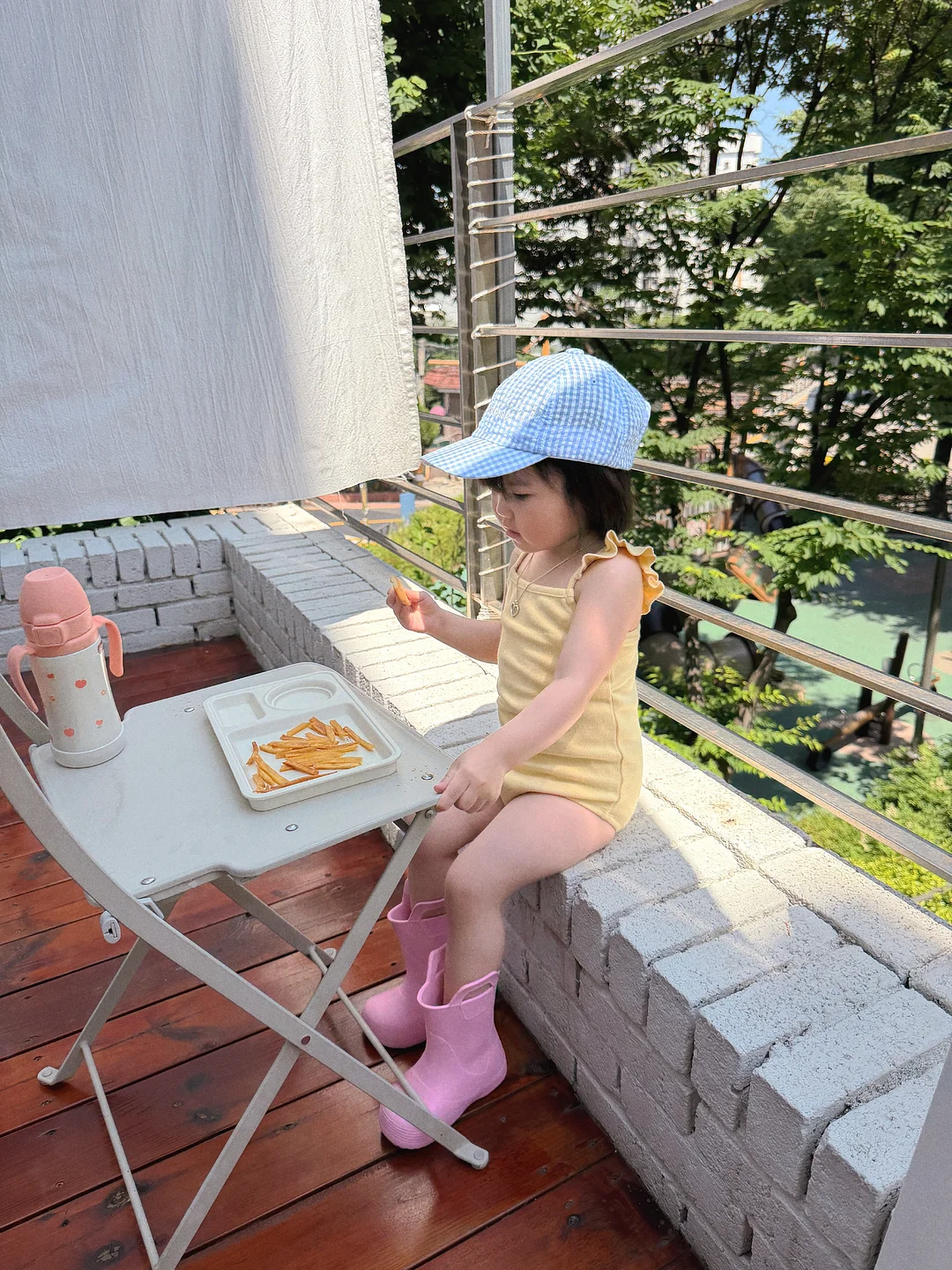 세척사과 12