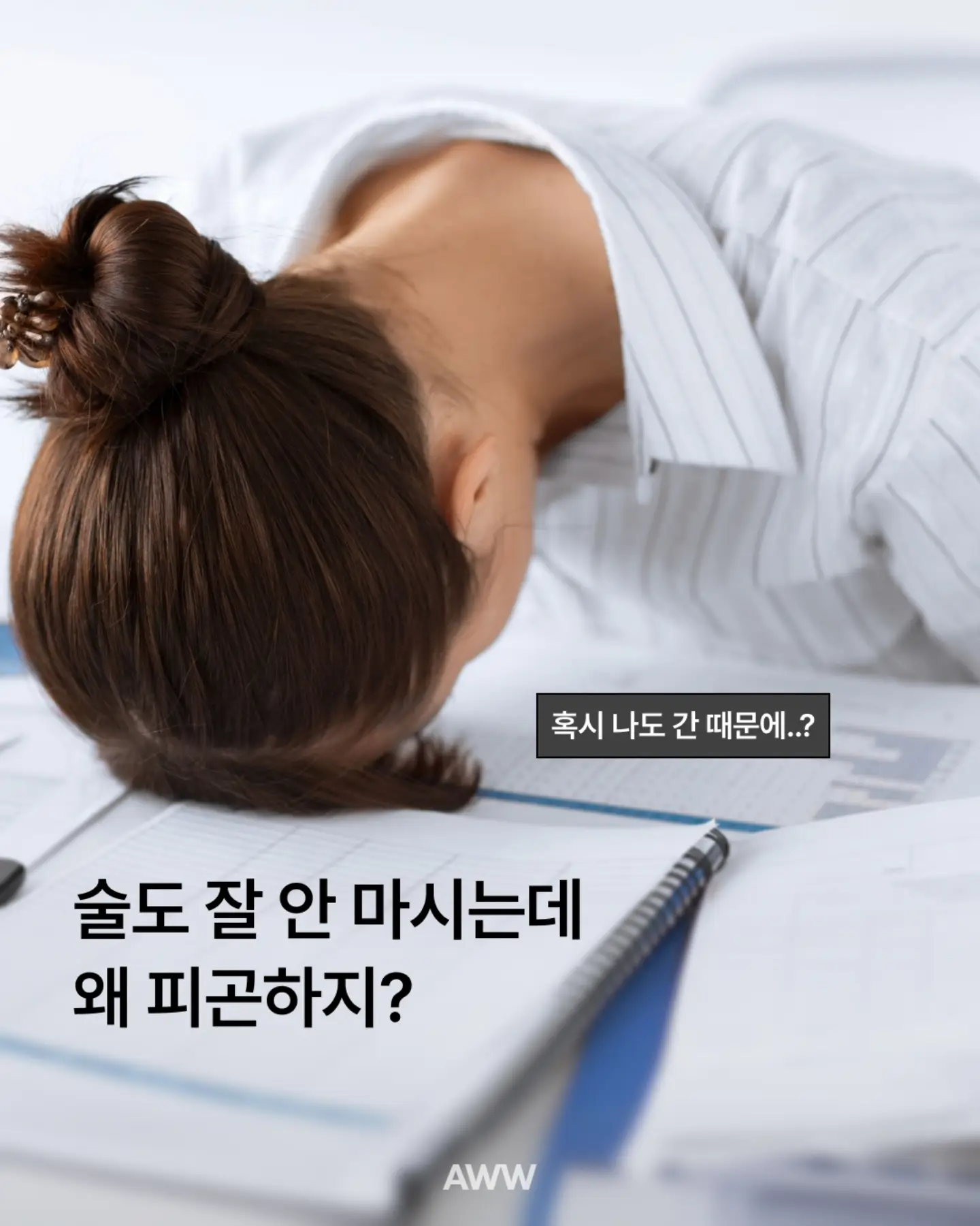 전동 허니콤 탑다운 블라인드 1