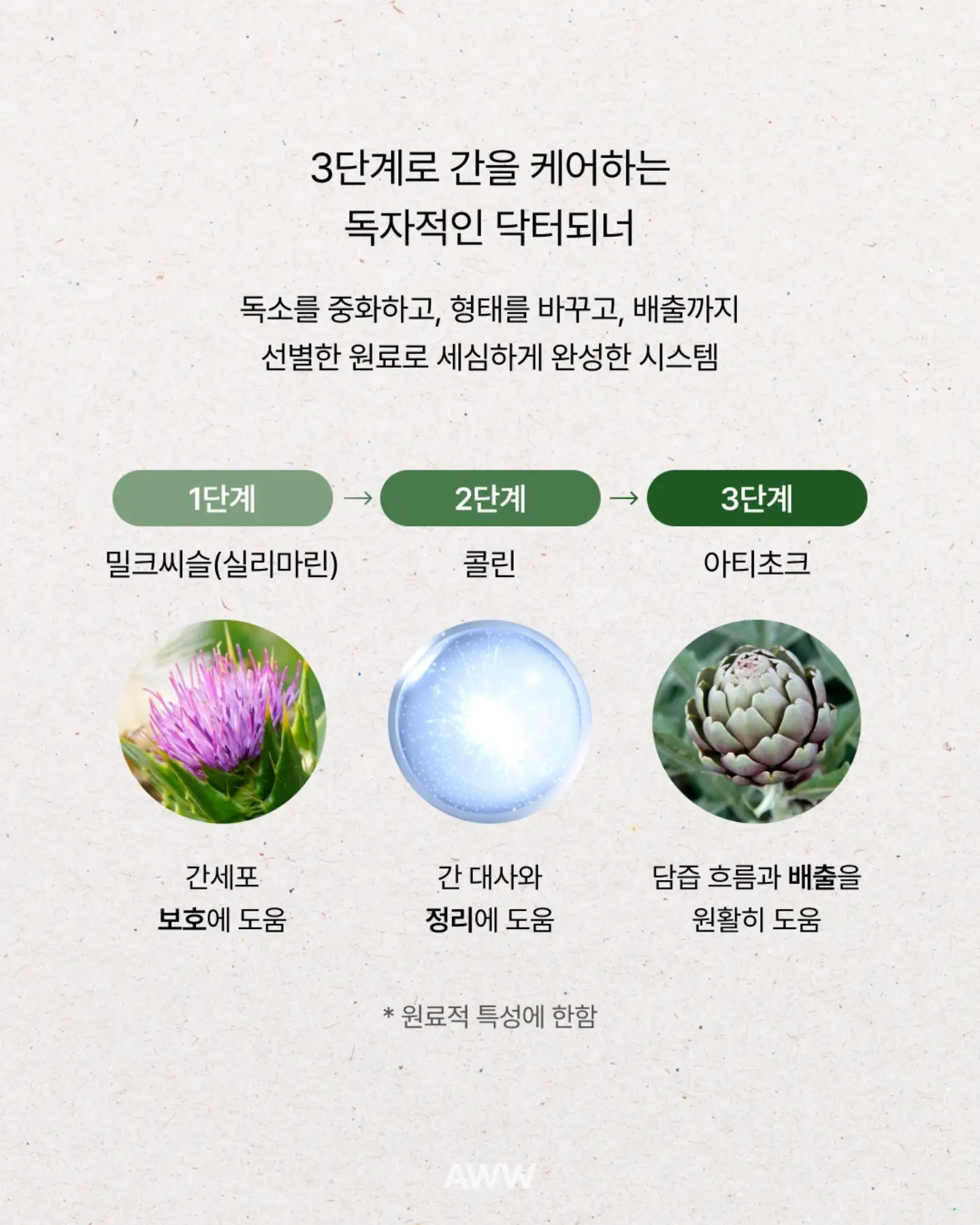 전동 허니콤 탑다운 블라인드 4