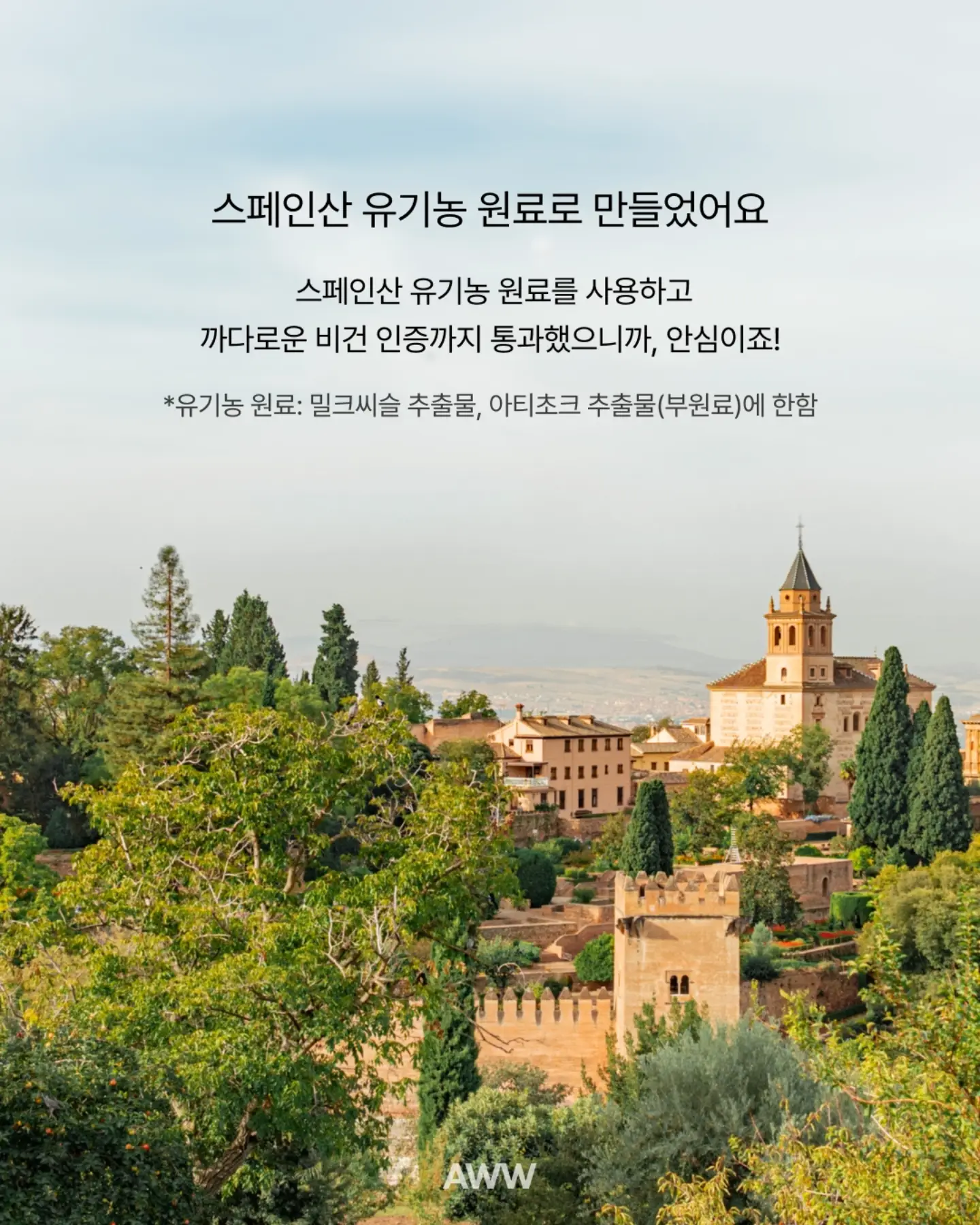 전동 허니콤 탑다운 블라인드 6