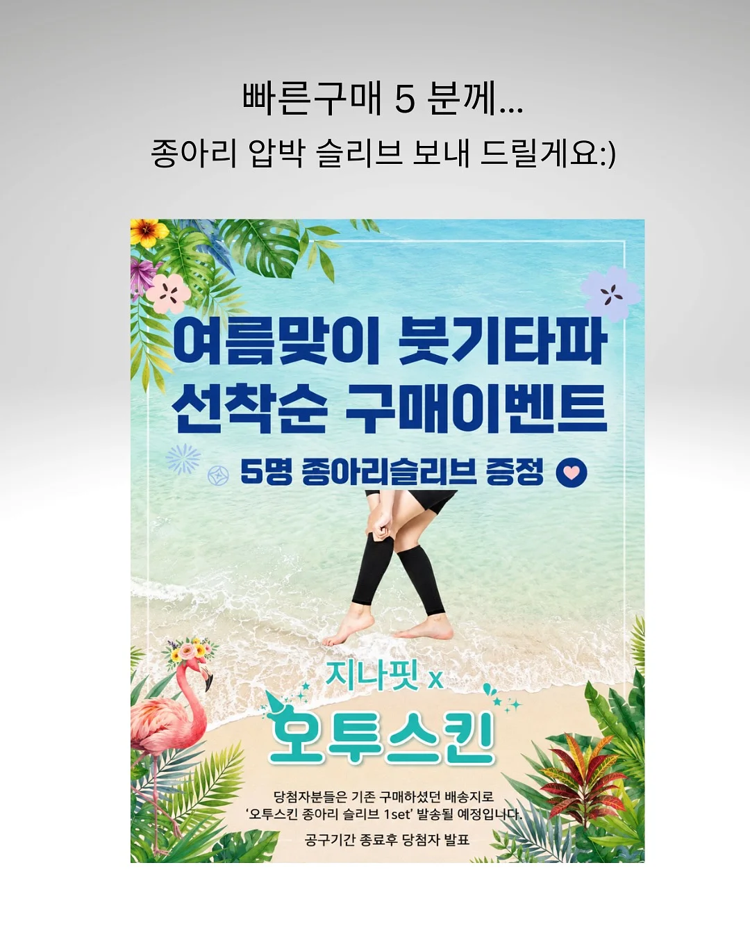 강아지 이동가방 카시트 12