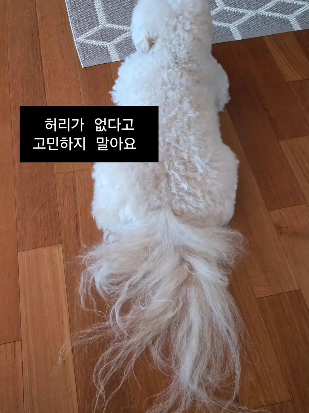 미니멜리사 헬로키티 콜라보 15