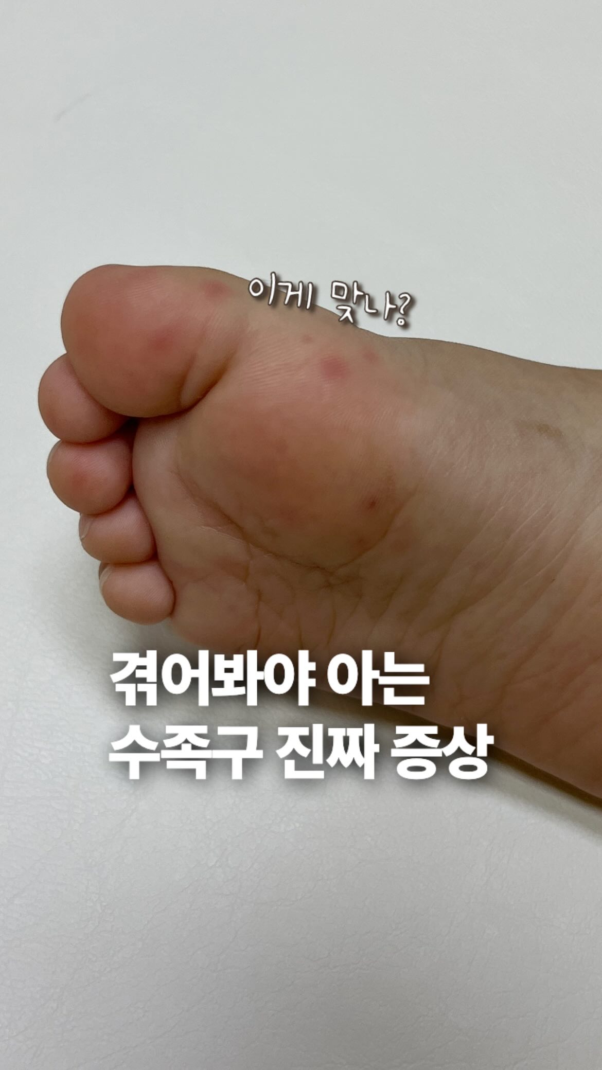 루나 선 파우더 피니쉬 팩트
