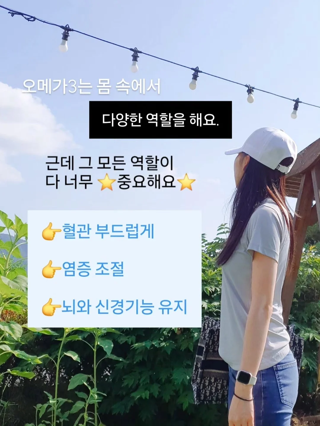 오토도어스토퍼 8