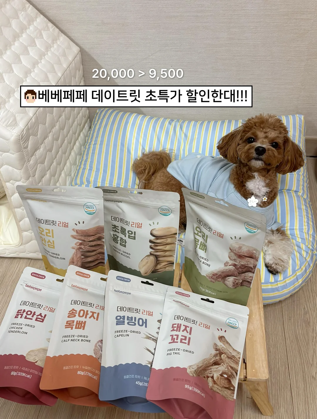 사브리나의 시골휴게소 이용권 1