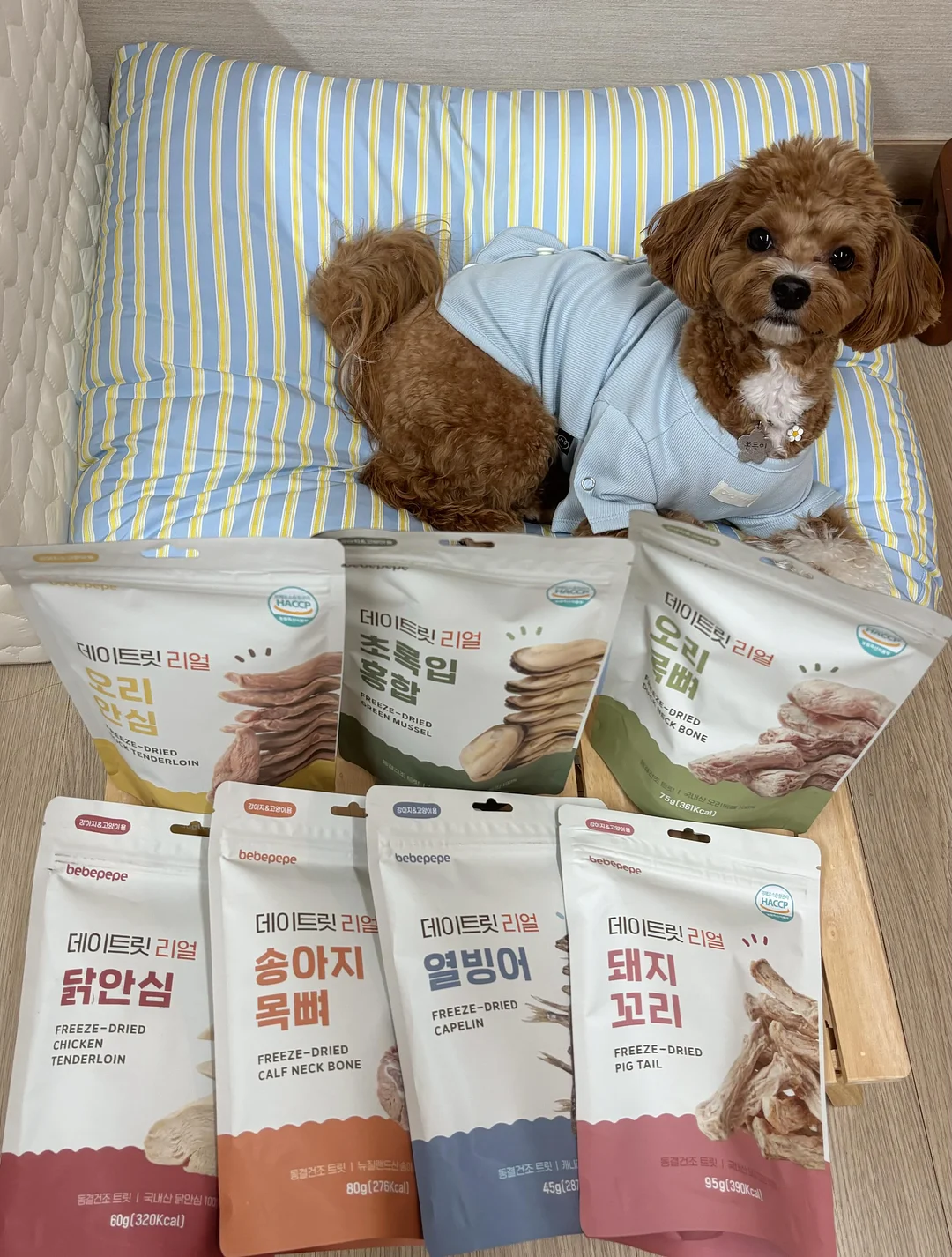 사브리나의 시골휴게소 이용권 3