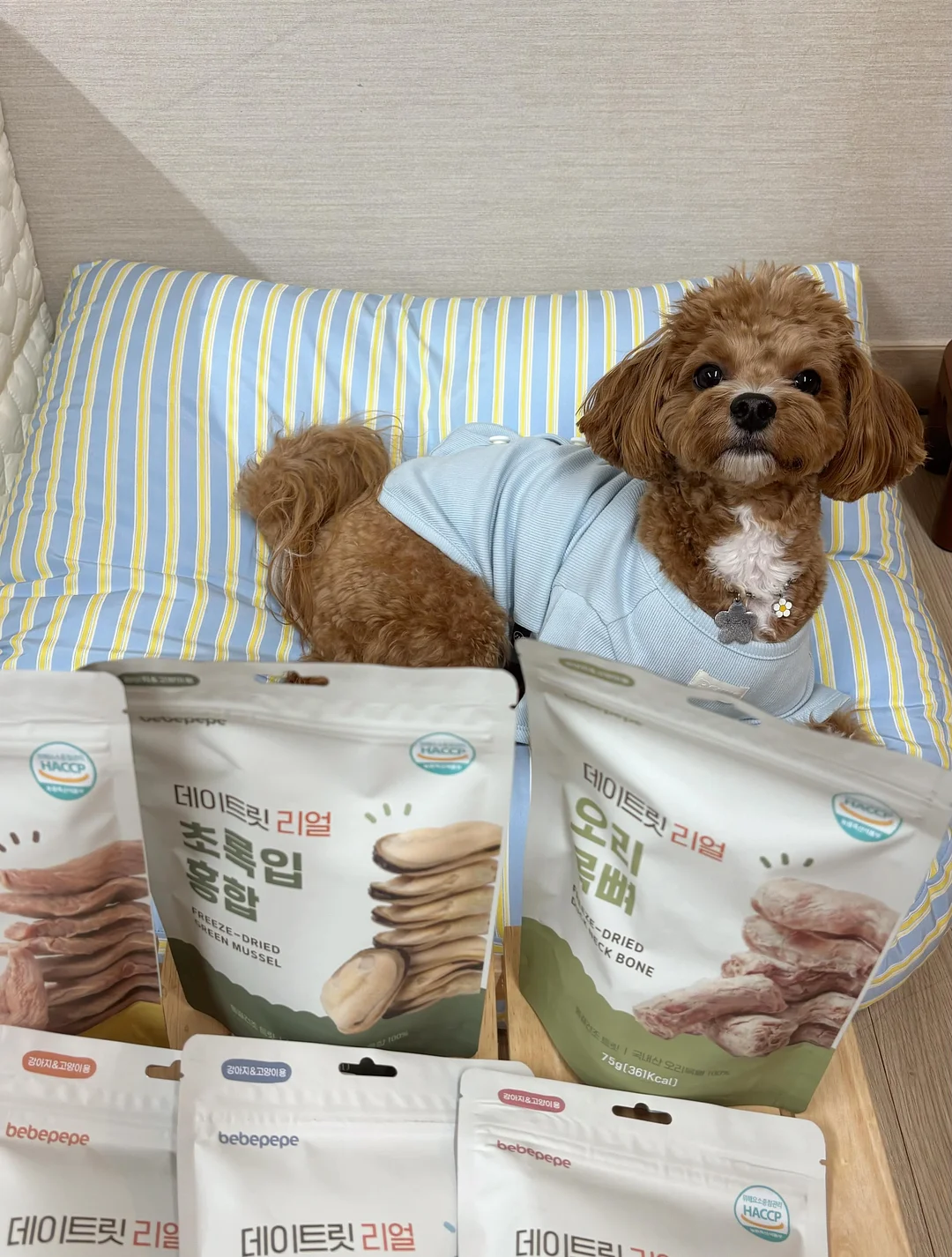 사브리나의 시골휴게소 이용권 4