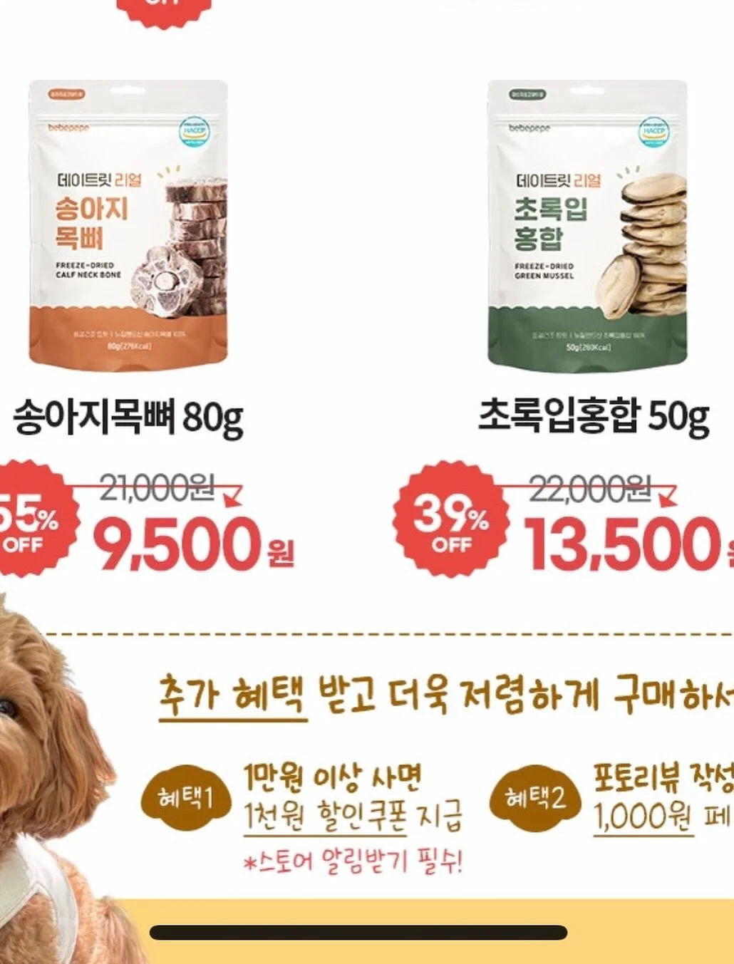 사브리나의 시골휴게소 이용권 8